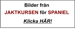 Bilder från JAKTKURSEN för SPANIEL  Klicka HÄR!