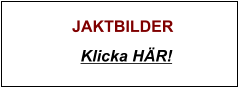 JAKTBILDER Klicka HÄR!